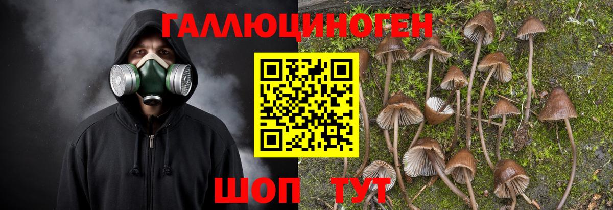 Галлюциногенные грибы прущие грибы Полысаево