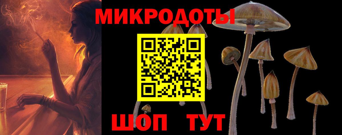 закладка  Псилоцибиновые грибы GOLDEN TEACHER  Полысаево  Вход с VPN  Галлюциногенные грибы мицелий 